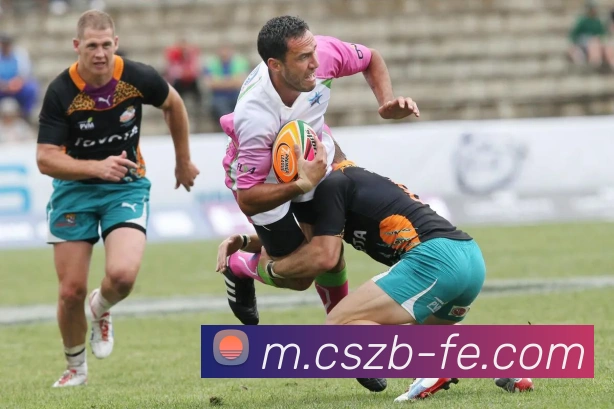 彩神争霸平台生态图